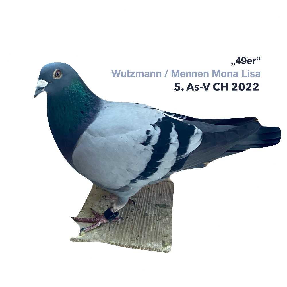 5. As-V CH 2022 CH-2020-9649