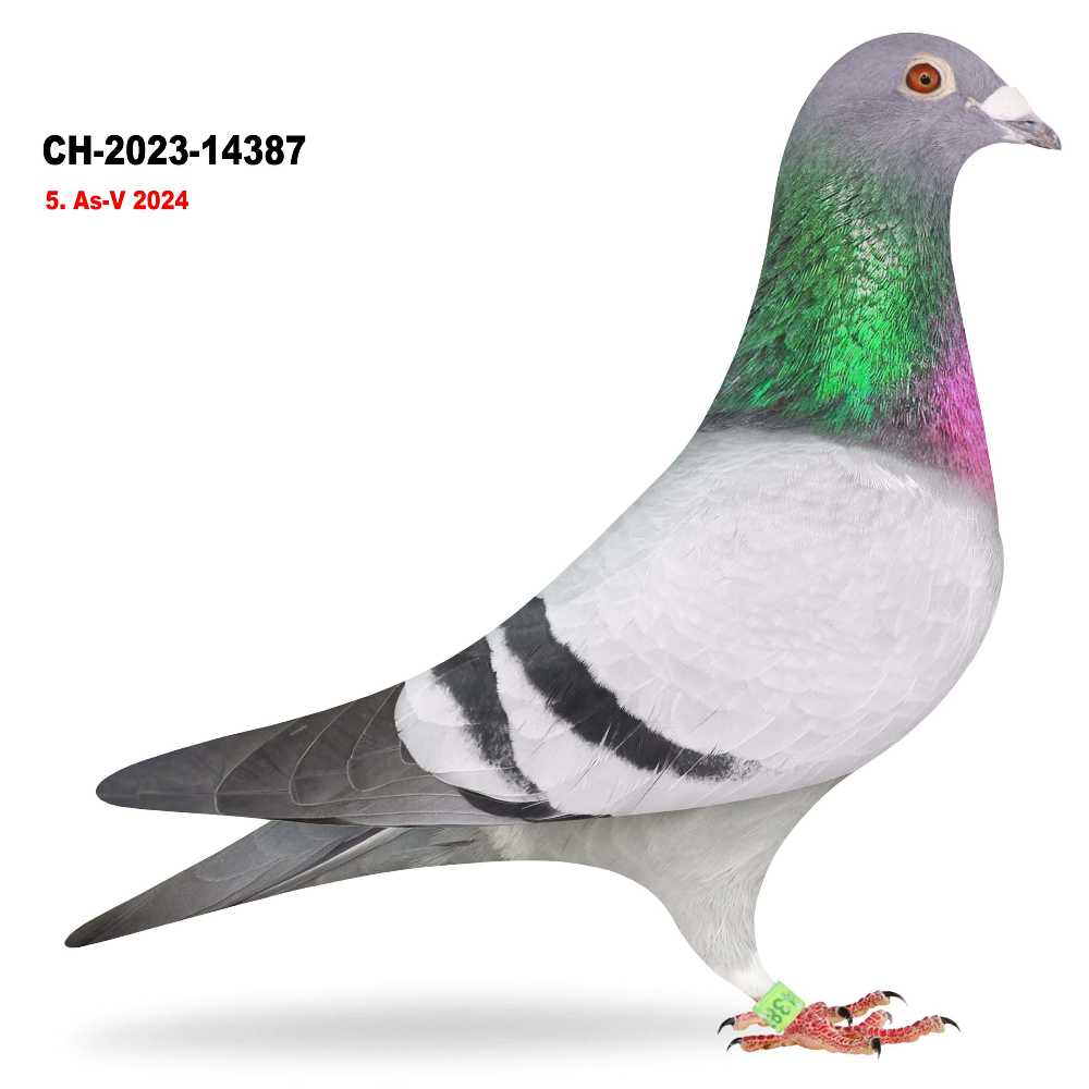 87er · CH-2023-14387