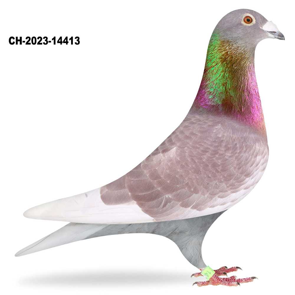 CH-23-14413 · CH-2023-14413